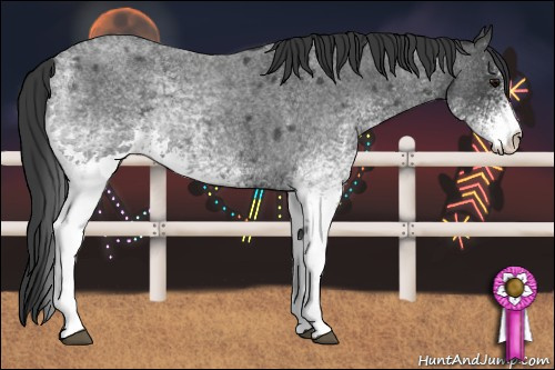 Horse Color: White Spotted Blue Roan 