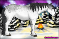 Horse Color:White Spotted Blue Roan 