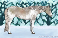 Horse Color:White Spotted Silver Black Ice Sabino Rabicano