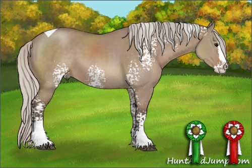 Horse Color: White Spotted Silver Grullo Splash Tobiano 