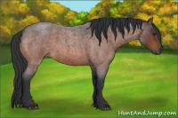Horse Color:Bay Roan 
