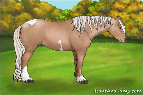 Horse Color: Silver Black Pearl Sabino Tobiano 