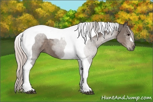 Horse Color: Silver Black Tobiano 
