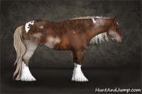 Horse Color:Liver Chestnut Ice Tobiano