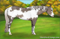 Horse Color:White Spotted Silver Black Frame 
