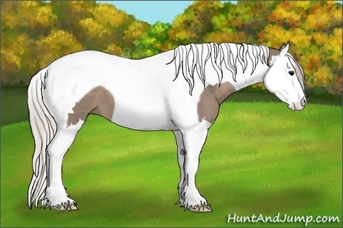Horse Color: Silver Grullo Splash Tobiano 