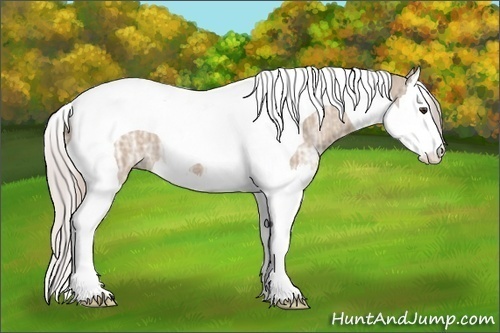 Horse Color: Silver Bay Ice Dun Splash Tobiano 