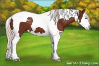 Horse Color:Silver Bay Splash Tobiano 