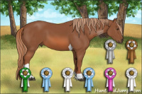 Horse Color:Liver Chestnut Sabino Tobiano 
