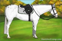 Horse Color:White Spotted Blue Roan Blanket 