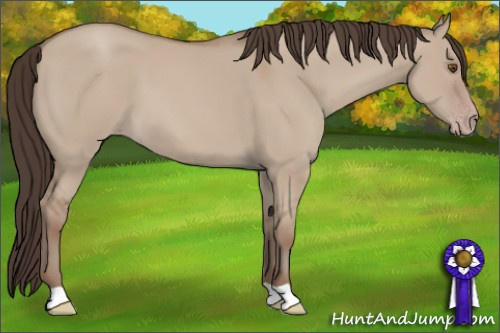 Horse Color: Sable Champagne Dun 