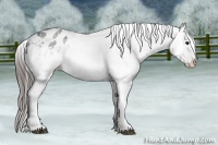 Horse Color:White Spotted Blue Roan Blanket 