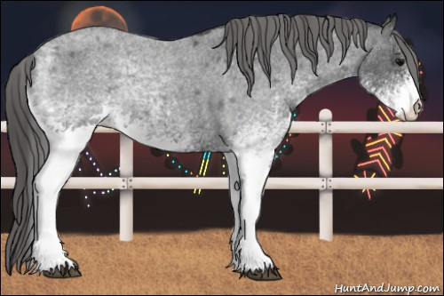 Horse Color: White Spotted Blue Roan Varnish 