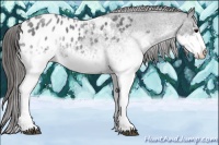 Horse Color:White Spotted Blue Roan Blanket 