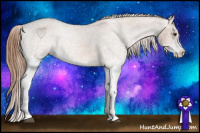 Horse Color:White Spotted Red Roan Varnish 