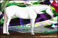 Horse Color:White Spotted Red Roan Blanket