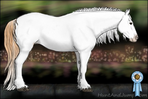 Horse Color: Buckskin Varnish 