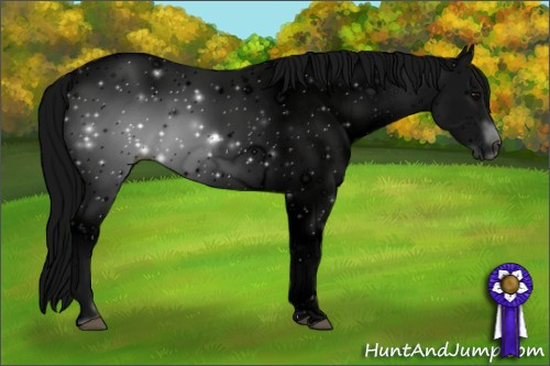 Horse Color: ERROR: UNKNOWN ANOMALY