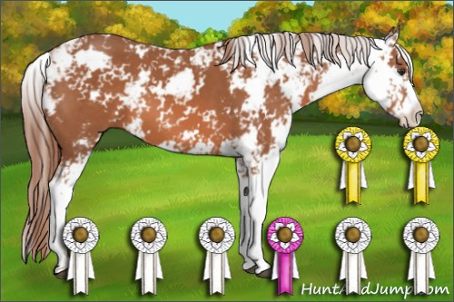 Horse Color: Liver Chestnut Sabino 
