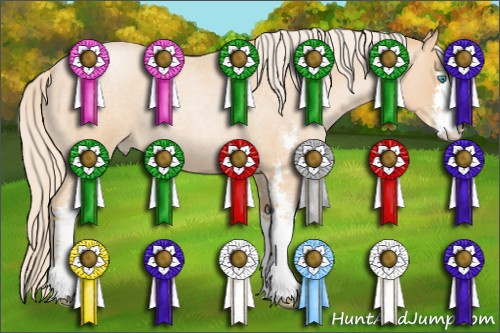 Horse Color: Chocolate Palomino Roan Pearl Sabino 