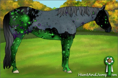 Horse Color: ERROR: UNKNOWN ANOMALY
