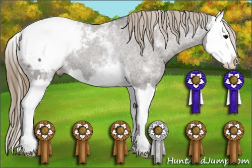 Horse Color: White Spotted Buckskin Dun Splash Snowcap Rabicano 