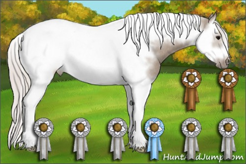 Horse Color: Silver Brown Dun Splash Tobiano Frame Rabicano 