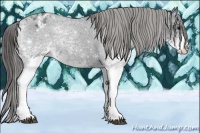 Horse Color:White Spotted Blue Roan Varnish 
