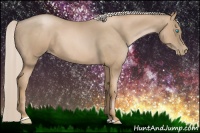 Horse Color:Chocolate Palomino Roan Pearl Sabino