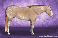 Horse Color:Chestnut Ice Splash 