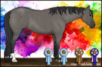 Horse Color:Grullo Roan 