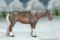 Horse Color:White Spotted Silver Black Tobiano 