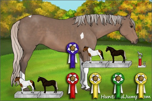Horse Color: Silver Black Sabino Tobiano 