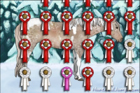 Horse Color:Silver Black Ice Sabino Tobiano 