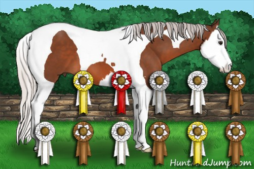 Horse Color: Silver Brown Sabino Splash Tobiano 
