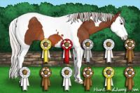 Horse Color:Silver Brown Sabino Splash Tobiano 