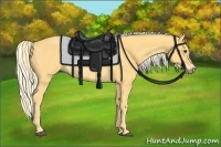 Horse Color:Palomino Rabicano 