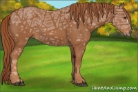 Horse Color:Chestnut Ice 