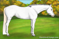 Horse Color:Buckskin Dun Near Leopard 