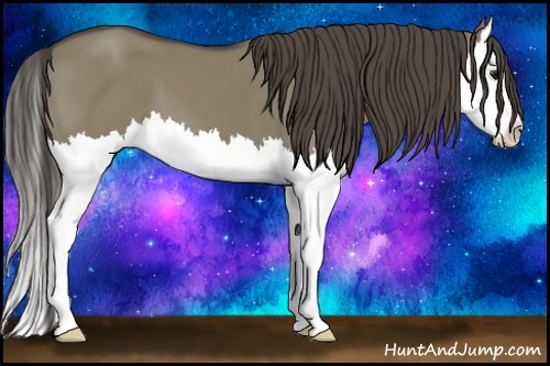 Horse Color: Smoky Grullo Splash 