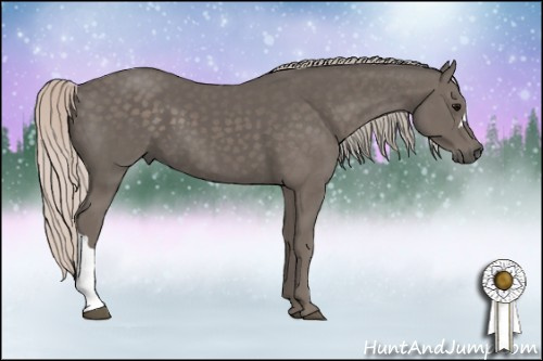 Horse Color: Silver Black 