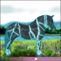 Horse Color:Thunderstruck Black 