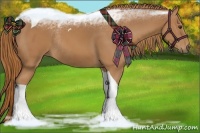 Horse Color:Chestnut Tobiano Rabicano 