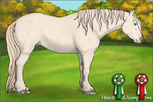 Horse Color: Perlino 