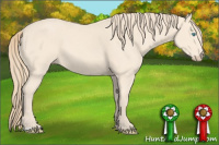 Horse Color:Perlino