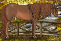 Horse Color:Liver Chestnut