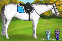 Horse Color:White Spotted Smoky Grullo Splash Frame 