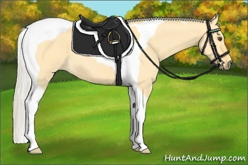 Horse Color: Silver Buckskin Dun Tobiano 