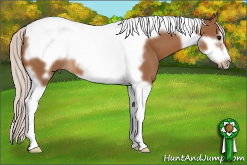 Horse Color: Silver Bay Tobiano Frame 