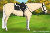 Horse Color:Silver Amber Cream Champagne Dun Splash 